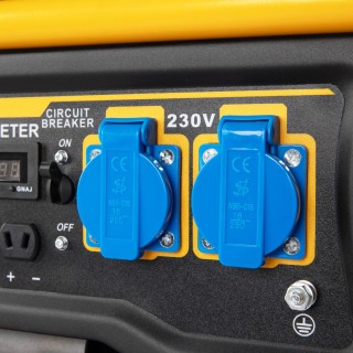 Agregat prądotwórczy WT3800EDF